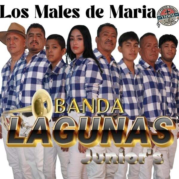 Cover art for Los Males De Maria